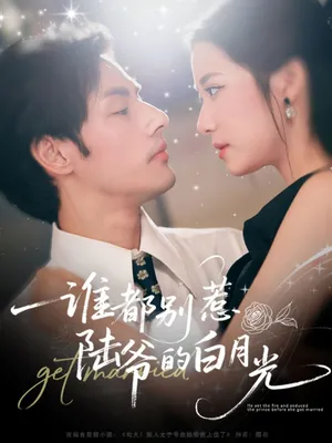 短剧《谁都别惹陆爷的白月光》（79集）短剧免费观看-推影坊