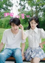 短剧《那些小美好》（32集）短剧在线观看-推影坊