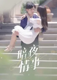 短剧《暗夜情事》（100集）免费观看完整版 - 推影坊-推影坊