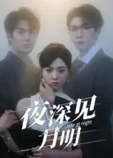 短剧《夜深见月明》（50集）短剧夸克在线看-推影坊