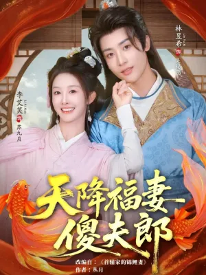 短剧《天降福妻傻夫郎》（85集）全集免费看 - 推影坊-推影坊