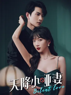 短剧《天降小哑妻》（80集）网剧无删减 - 推影坊-推影坊