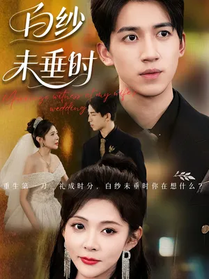 短剧《老婆婚礼我当证婚人》（54集）网剧无删减 - 推影坊-推影坊