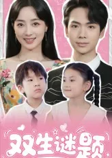 短剧《双生谜题》（36集）全集在线观看-推影坊