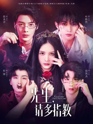 短剧《先生请多指教》（67集）免费观看全集-推影坊