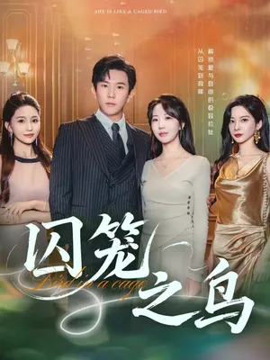 短剧《囚笼之鸟》（52集）免费看短剧-推影坊