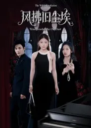 短剧《风拂旧尘埃》（70集）全集在线播放-推影坊