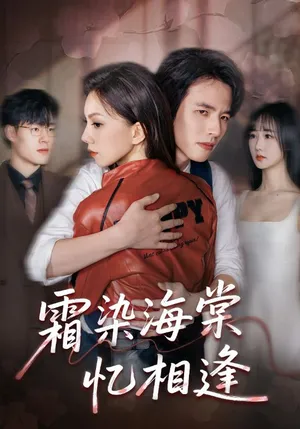 短剧《霜染海棠忆相逢》（72集）短剧全集免费收看-推影坊